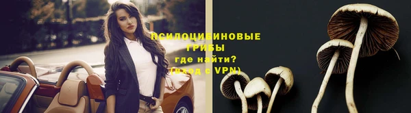 МДПВ Беслан