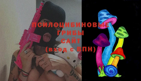 скорость Няндома