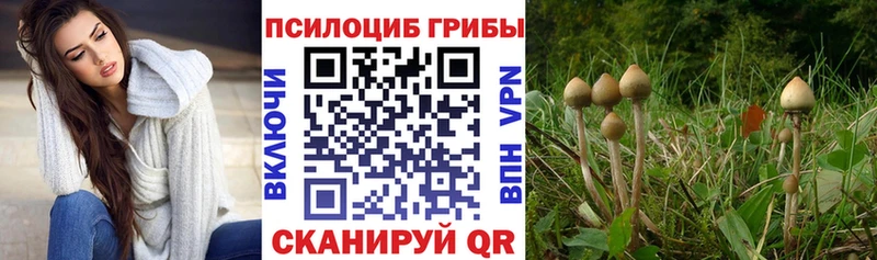 Псилоцибиновые грибы GOLDEN TEACHER купить цена Крым